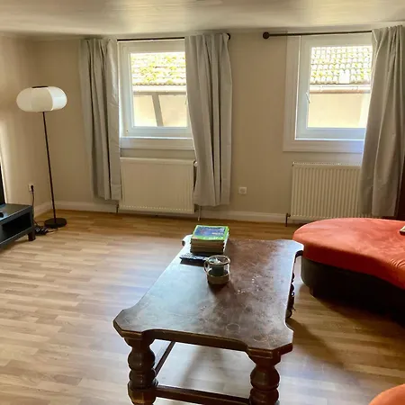 Charmante Maison De 140m2 Au Bord De La Riviere Au Coeur De 別荘 *